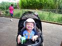 zoo stroller3